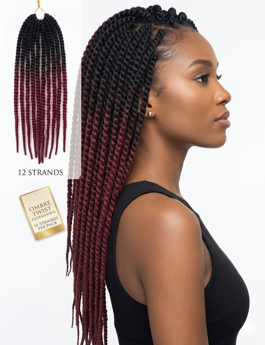 5Packs Crochet Hair Twists 22 Inches (Color: 1B/Bug#) – Pre-Twisted Braiding Hair Extensions for Crochet Hairstyles